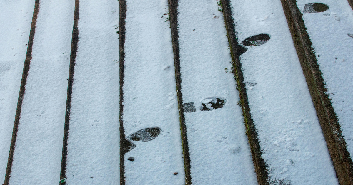 ขั้นตอนการตรวจสอบภายใน